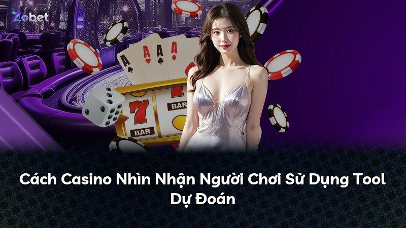 Cách Casino Nhìn Nhận Người Chơi Sử Dụng Tool Dự Đoán