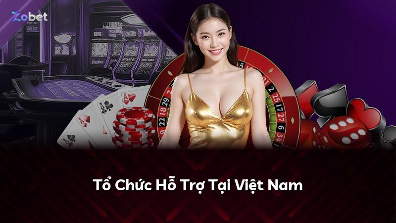 Tổ Chức Hỗ Trợ Tại Việt Nam
